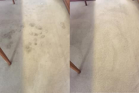 MagicDry Carpet Dry Cleaning Sensational Result on cleaning services