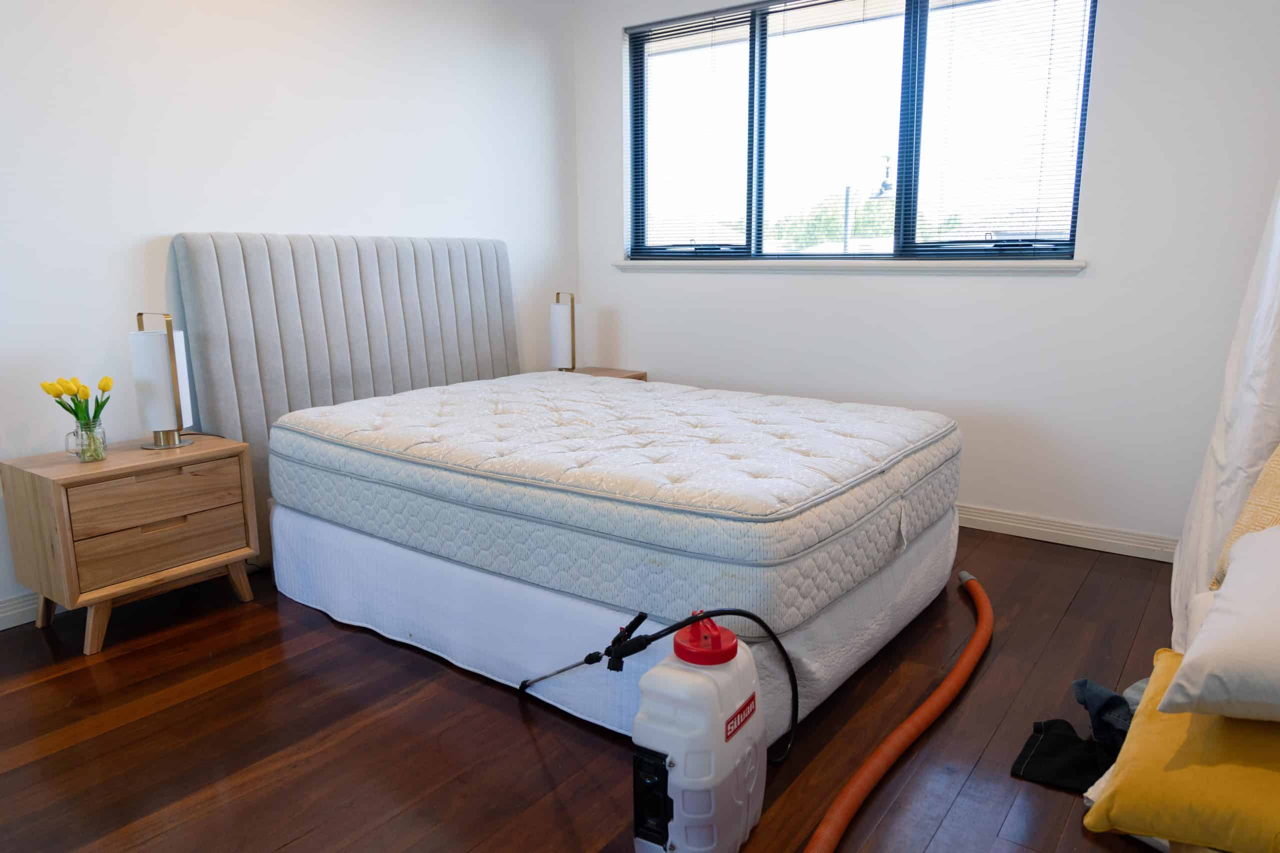 MATTRESS CLEANING & STAIN REMOVAL EXPERTS